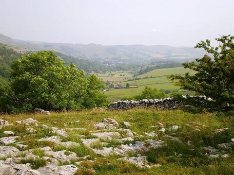 Inn Harts Head 4*